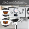 20 Bar Professional Espresso Machine with Milk Frother and Pressure Display