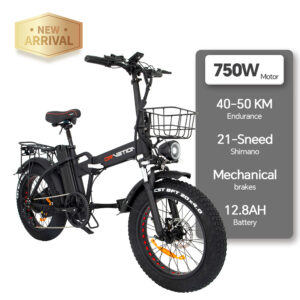 Fashion Simple Electric Bicycle for Daily Commute