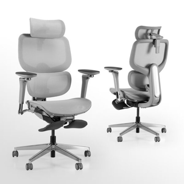 D2 Pro Ergonomic Mesh Office Chair with Lumbar Support and Footrest