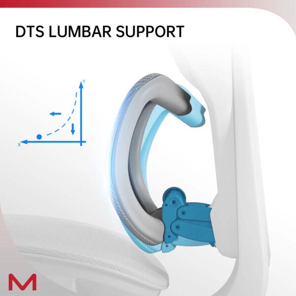 D2 Pro Ergonomic Mesh Office Chair with Lumbar Support and Footrest