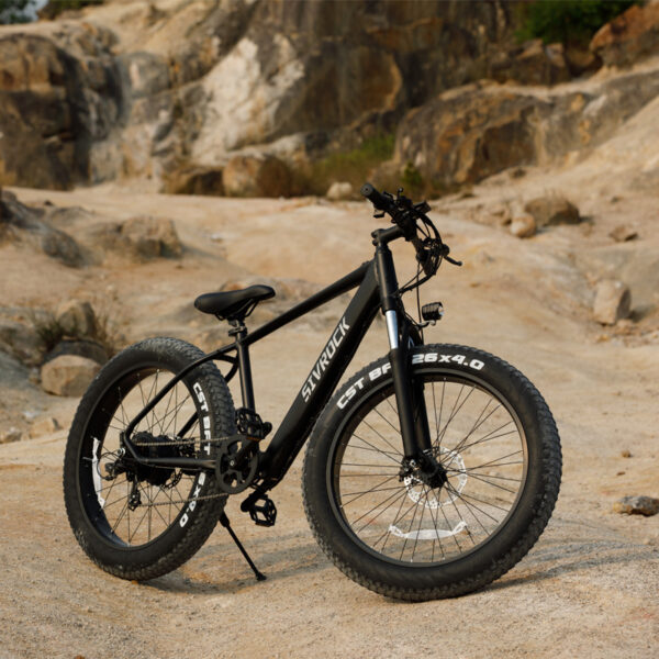 26x4 Fat Tire Electric Mountain Bike 1000W 48V for Adults