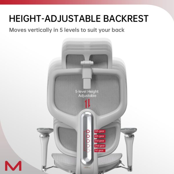 D2 Pro Ergonomic Mesh Office Chair with Lumbar Support and Footrest