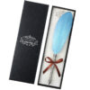 European Retro Feather Pen Gift Box – Vintage Writing Elegance | gizmoprohaven